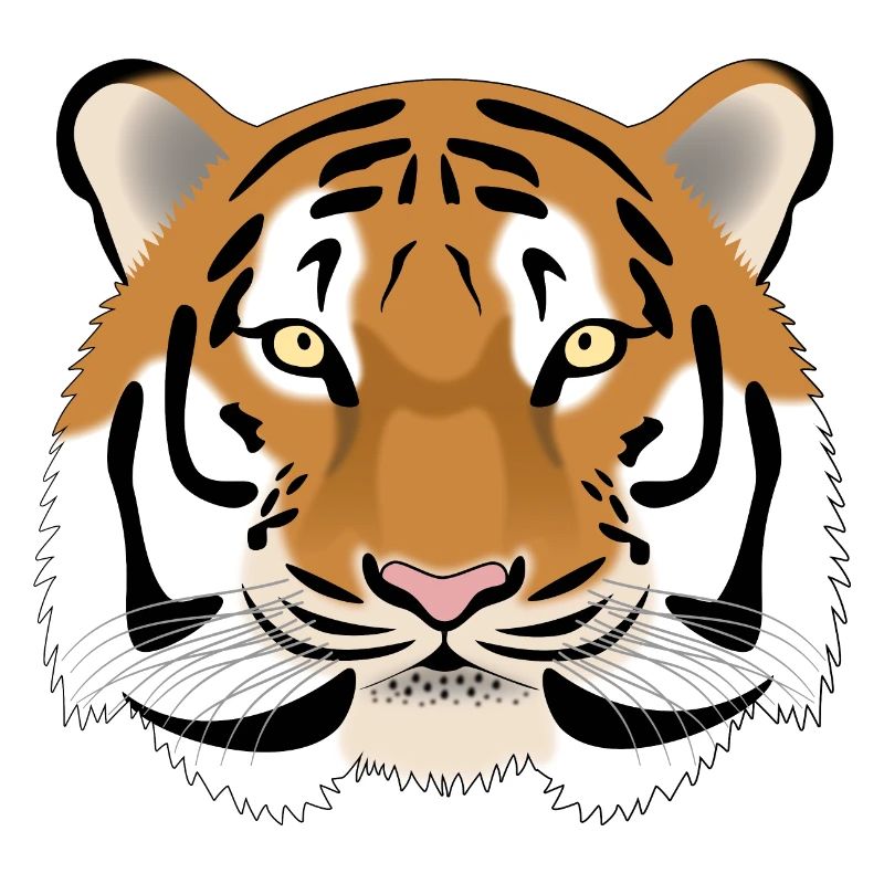 Tiger Kopf - farbig