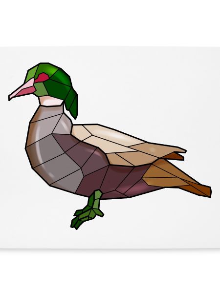 Ente geometrisch Vogel