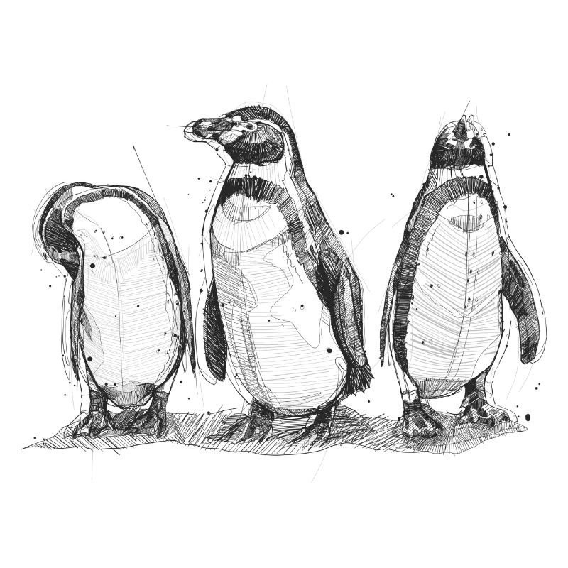 Pinguin Sketch
