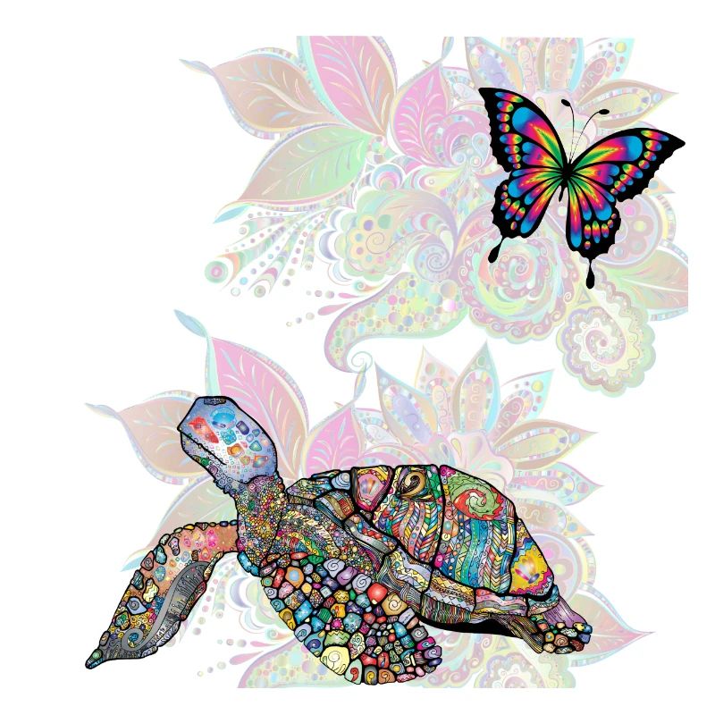 turtle and butterfly