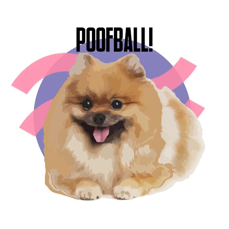 „POOFBALL!“ - Zwergspitz