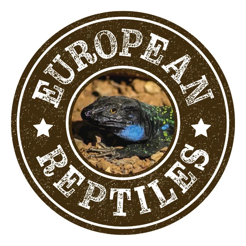 European Reptiles