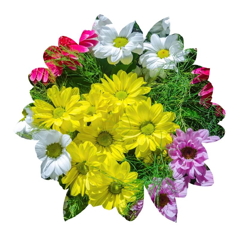 Blumen über Blumen