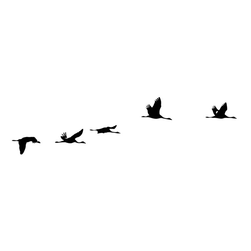 Zugvögel Kranich Vogel