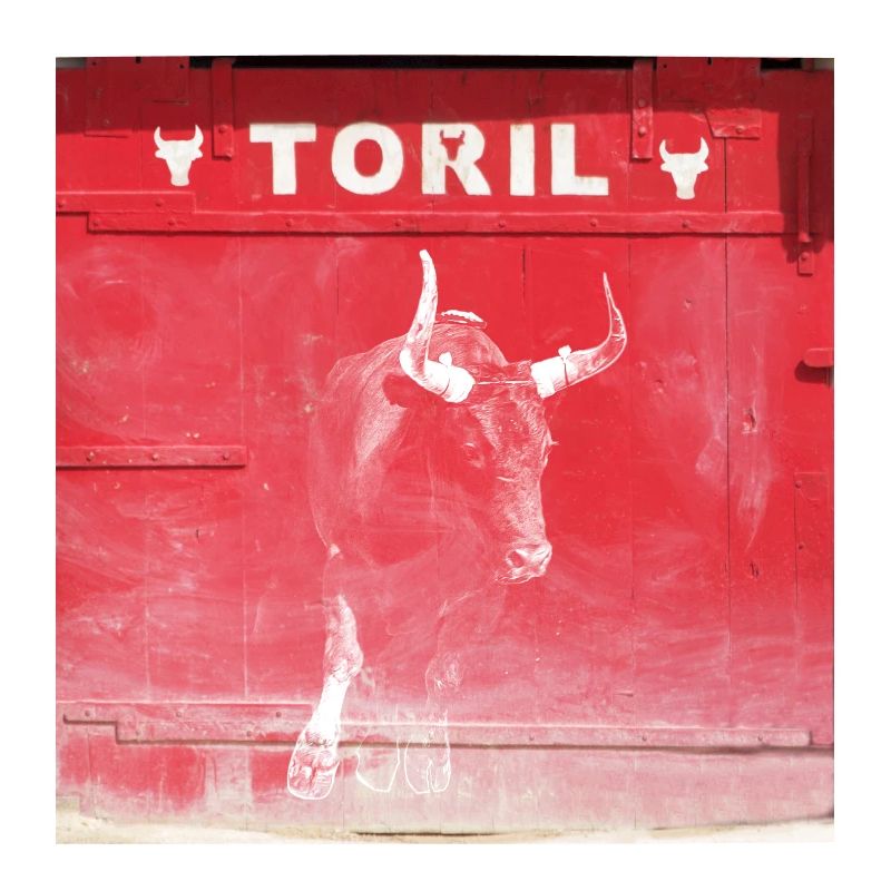 Taureau devant le Toril Camargue Modifier