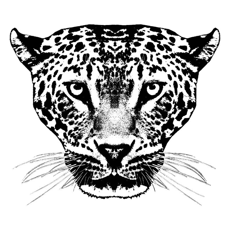 Leopard / Kopf