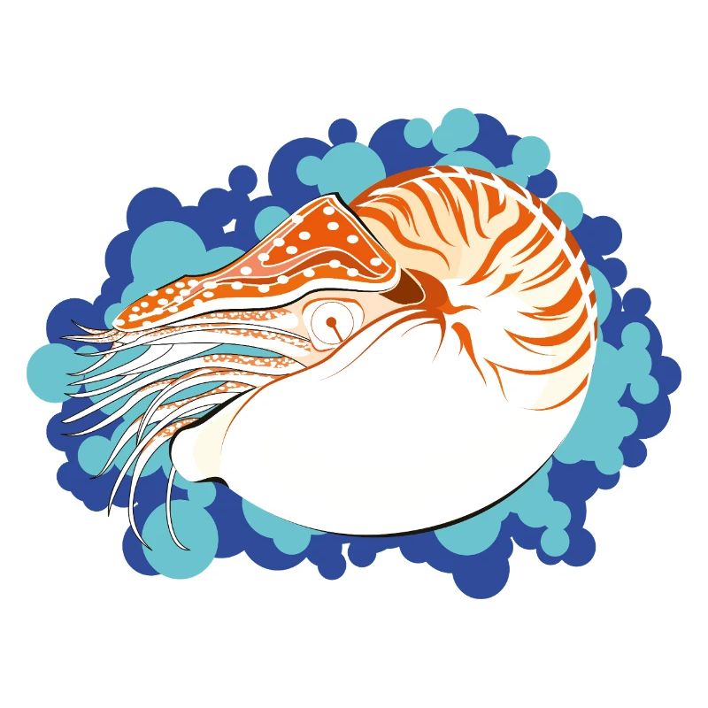 Nautilus Pompilius – Retro-Marinekunst
