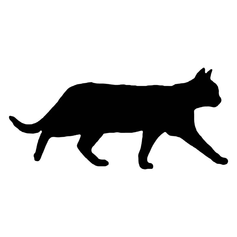 SCHWARZE KATZE