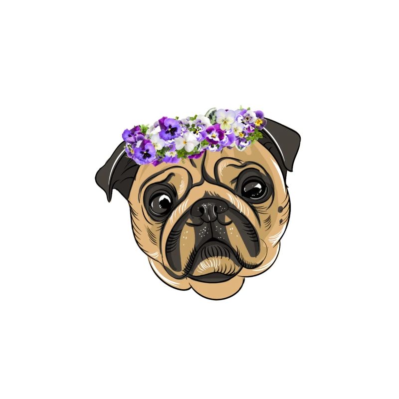 flower pug