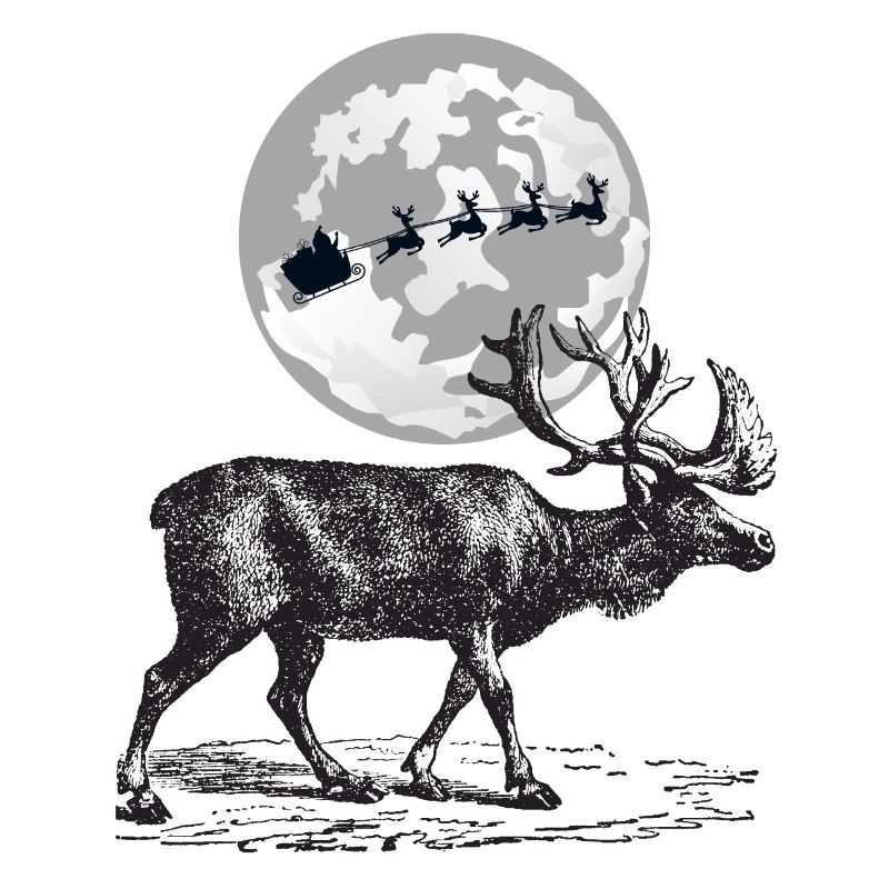 Merry Christmas grey