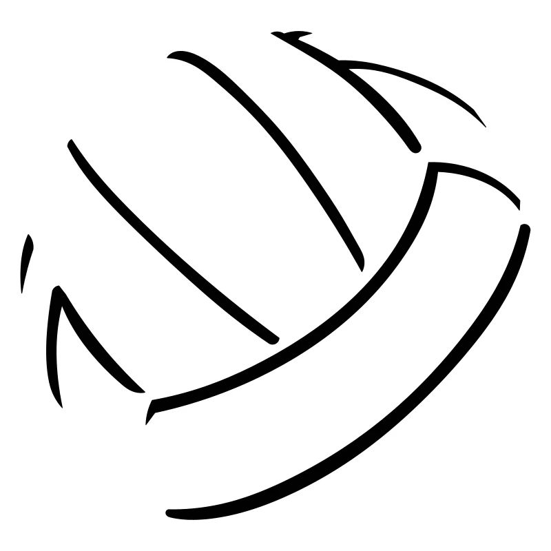 Volleyball Ball