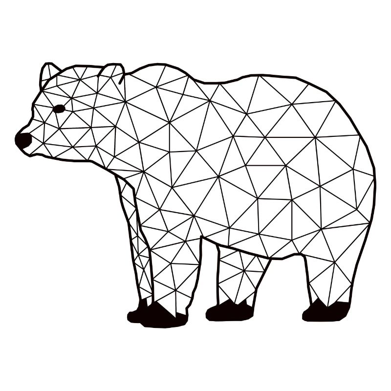 Bearr GeomeTRIX