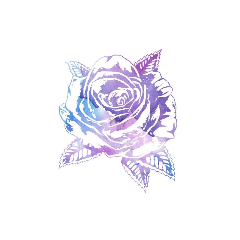 Galaxy Rose Blume