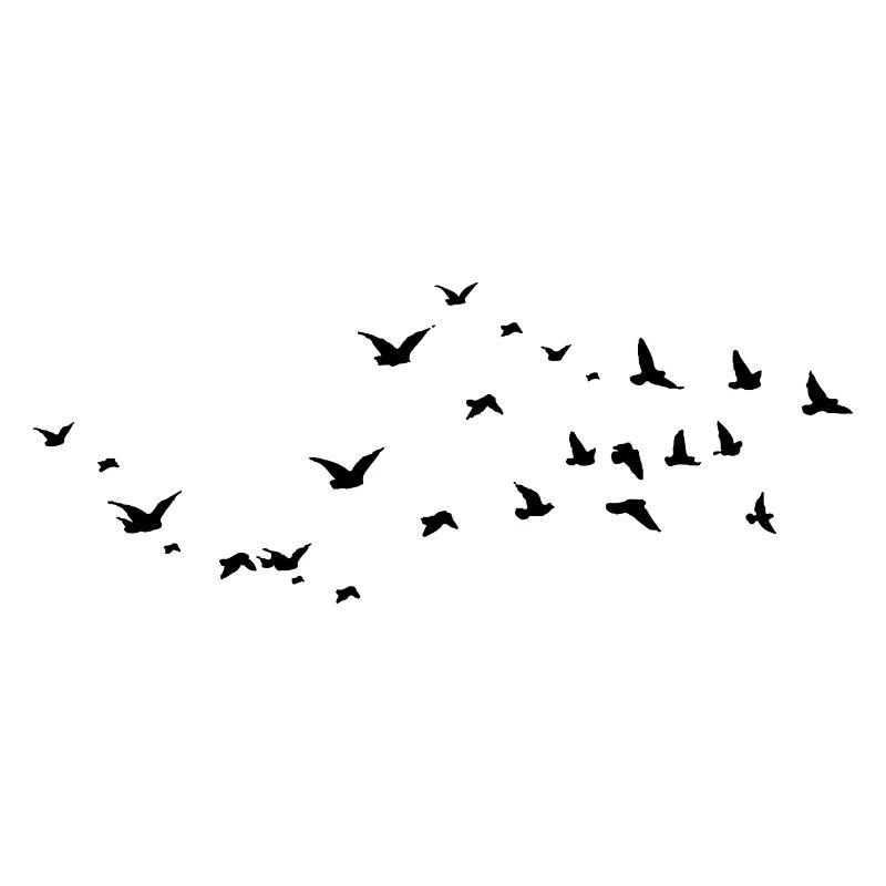 Vögel - Oiseaux