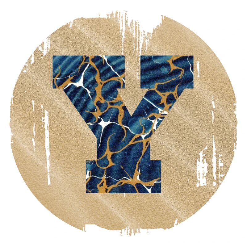 e 16 y