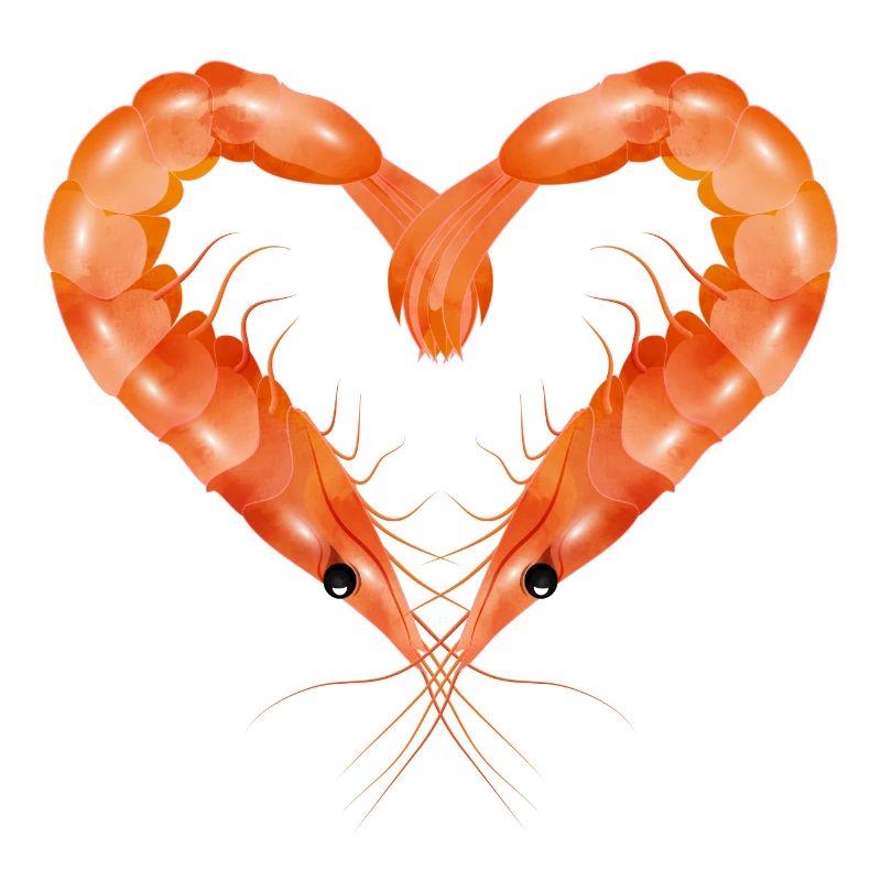 zwei Garnelen oder Shrimps in Herz Form gestaltet