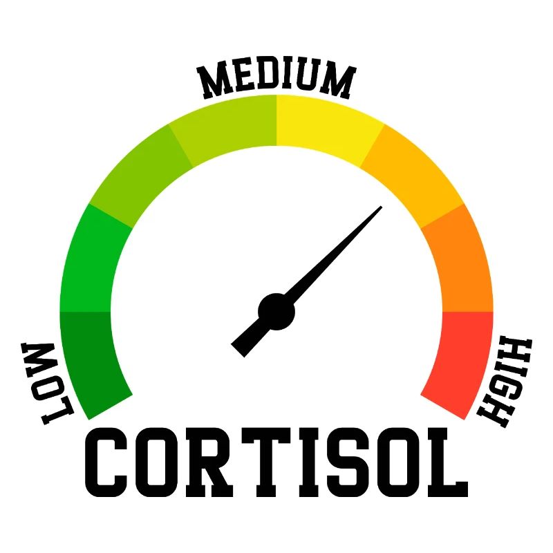 Faible Cortisol Niveau Bas Meme