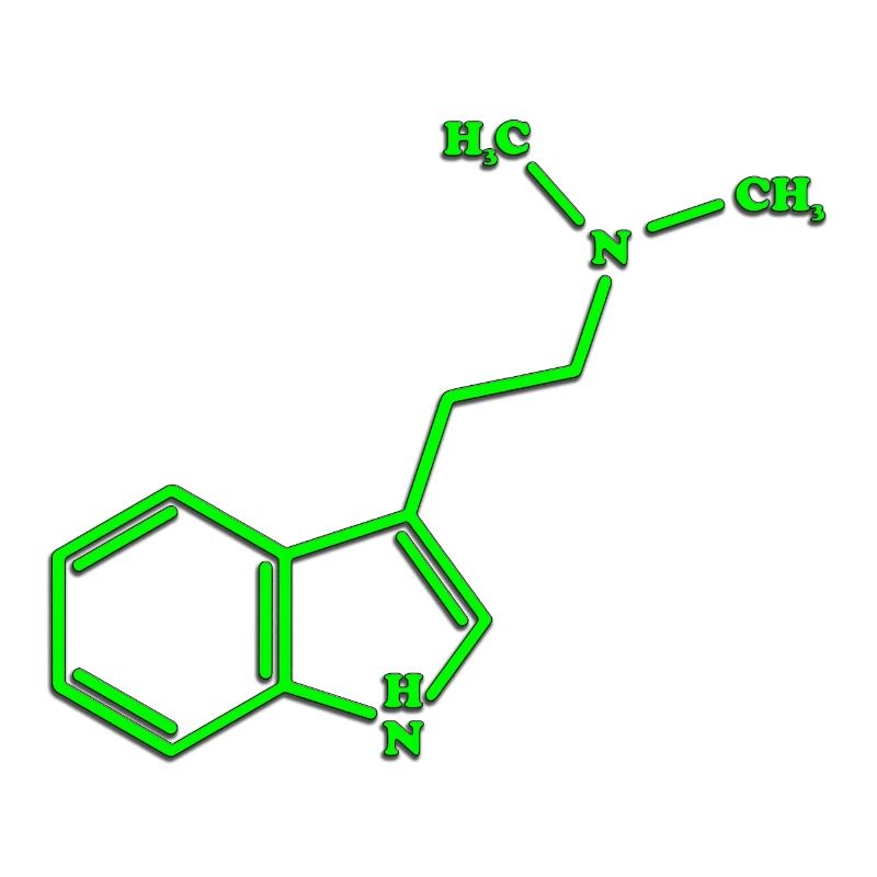 DMT