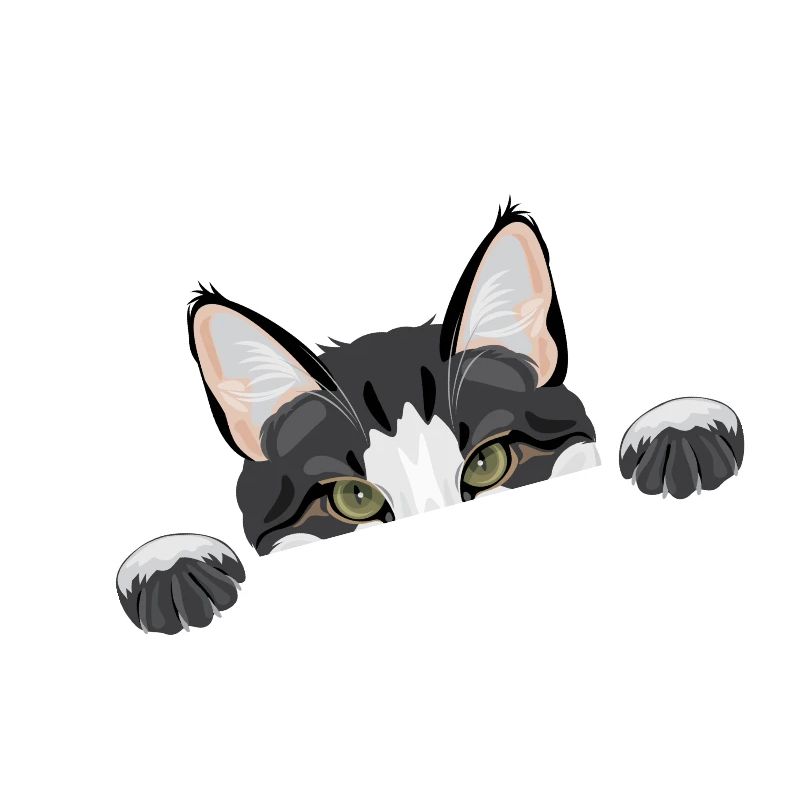 Peeping funny cat