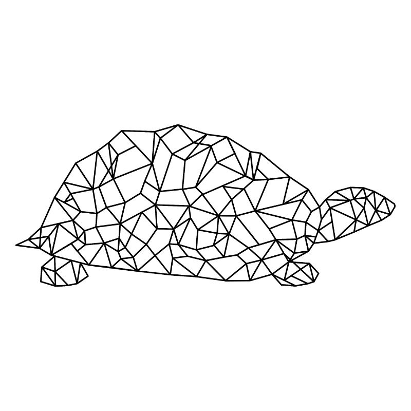 Turtle Polygon