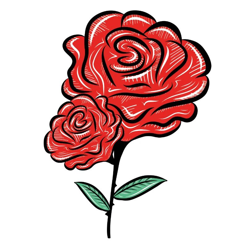 rose blume