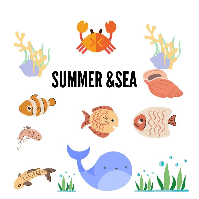SOMMER & MEER