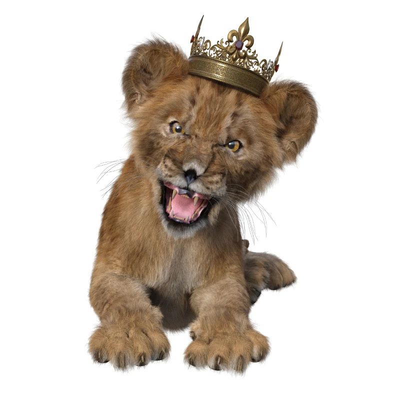 Löwe, Baby