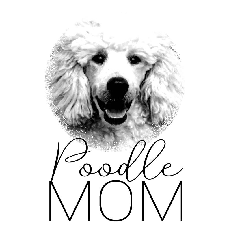 Pudel Hunde Mama