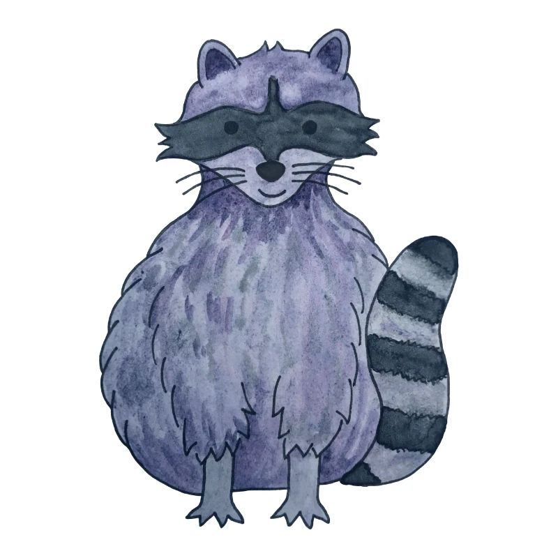 cute raccoon