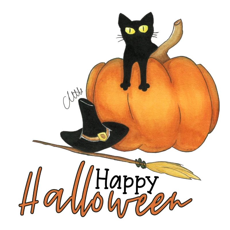 Halloween Kürbis-Katze
