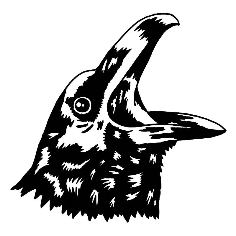 Krähe