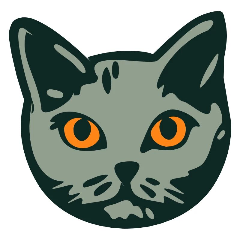 Katze / Kater "Britisch Kurzhaar"