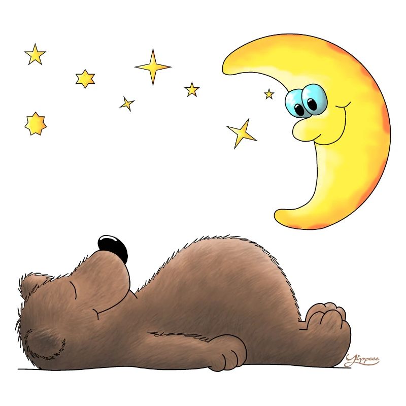 süßer Teddybär - Bär