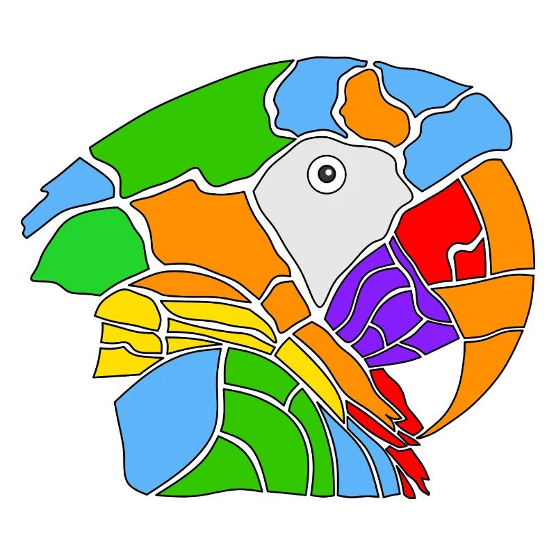 Regenbogenpapagei