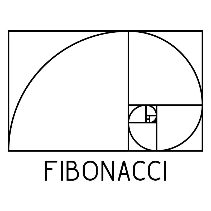Section dorée en spirale de Fibonacci