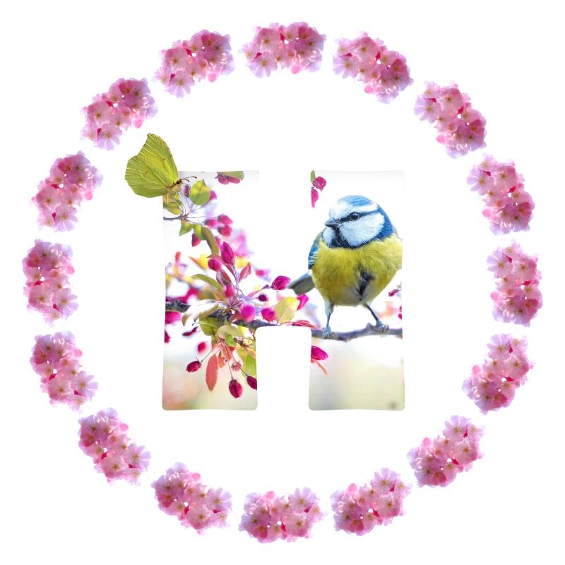 spring bird butterfly h