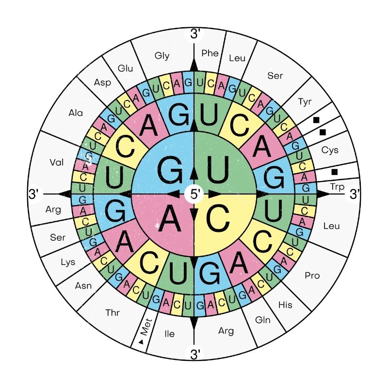 Biochemie RNA Codon Code Sonne Grunge Look