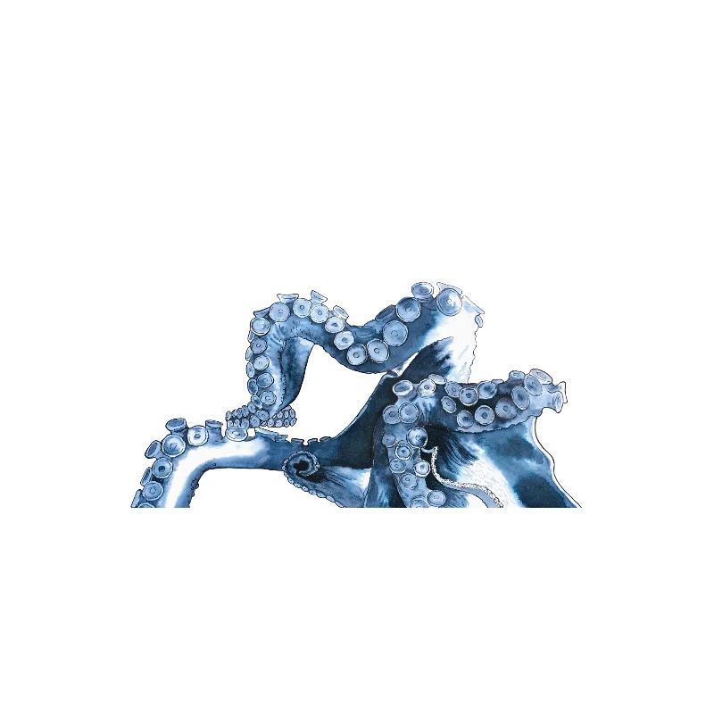 Octopus Tentacle Octopus Tentacle Octopus
