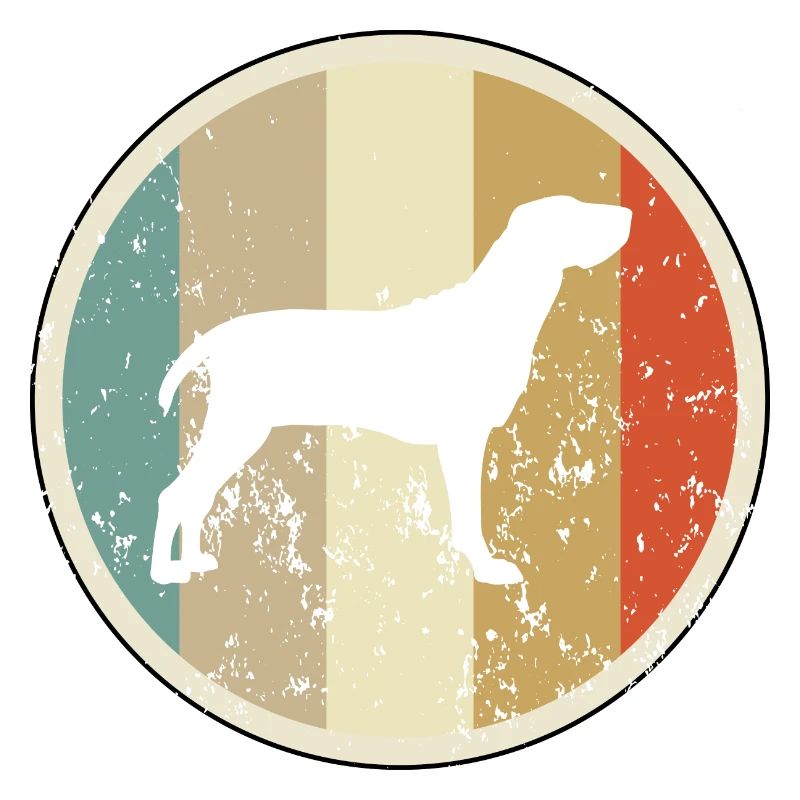 Bracco Italiano