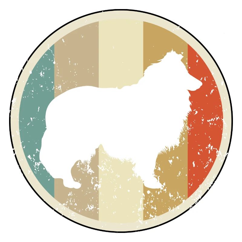 Shetland Sheepdog Sheltie