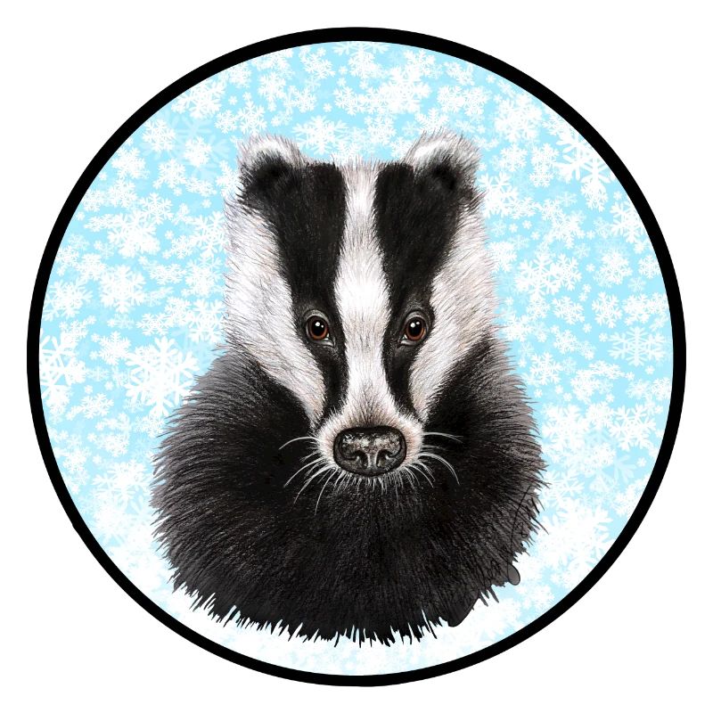 Badger/Dachs im Schnee