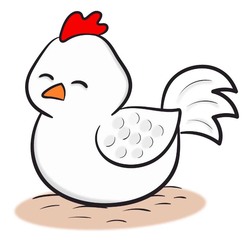 Chicken Chickens