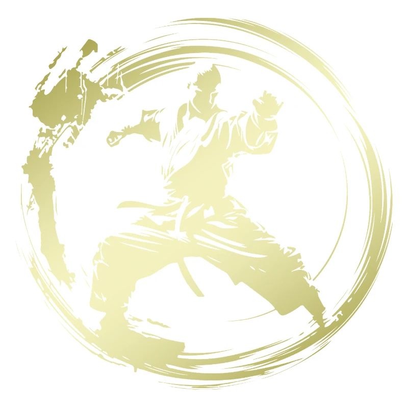Karate Silhouette Fighter
