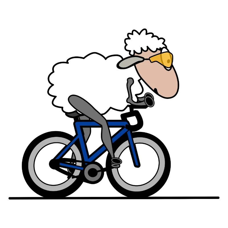 Triathlon Zeitfahren Schaf