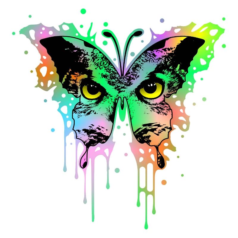 Eulenschmetterling 1