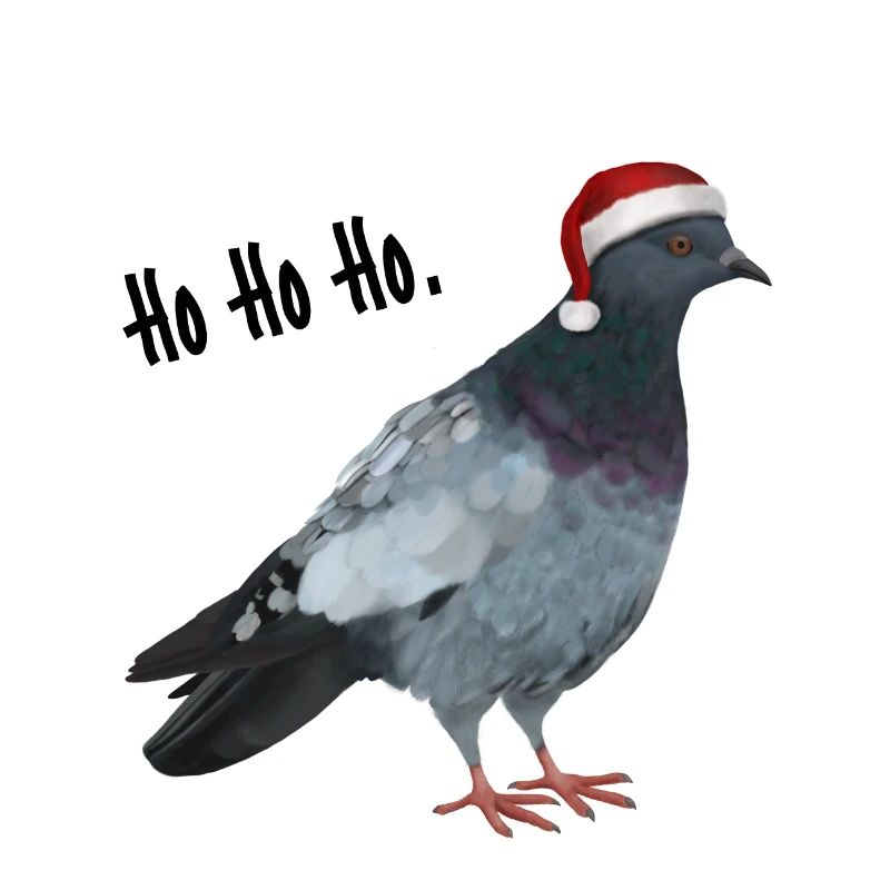 Taube - Weihnachten Ho
