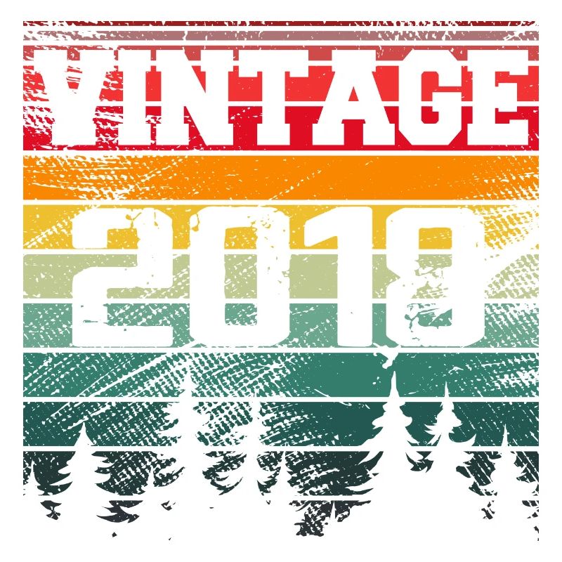 2018 Cadeau D'anniversaire Vintage 2018 Rétro
