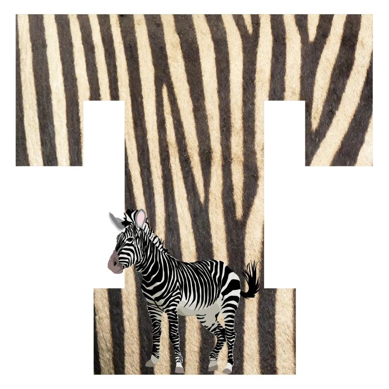 zebra t
