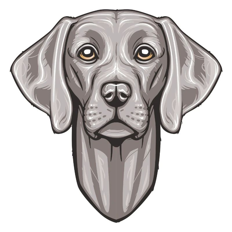 Weimaraner