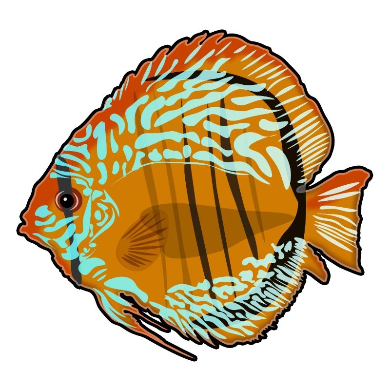 Diskusfisch Aquarium Zeichnung
